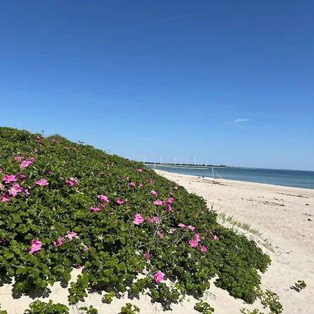 Family Fun With Hot Tub - By Traum Nedre Lysabild
