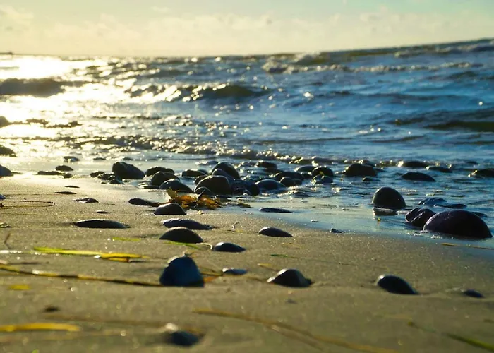 Family Fun With Hot Tub - By Traum * Nedre Lysabild