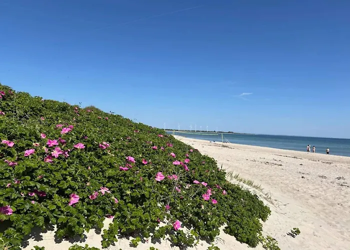 Family Fun With Hot Tub - By Traum Nedre Lysabild